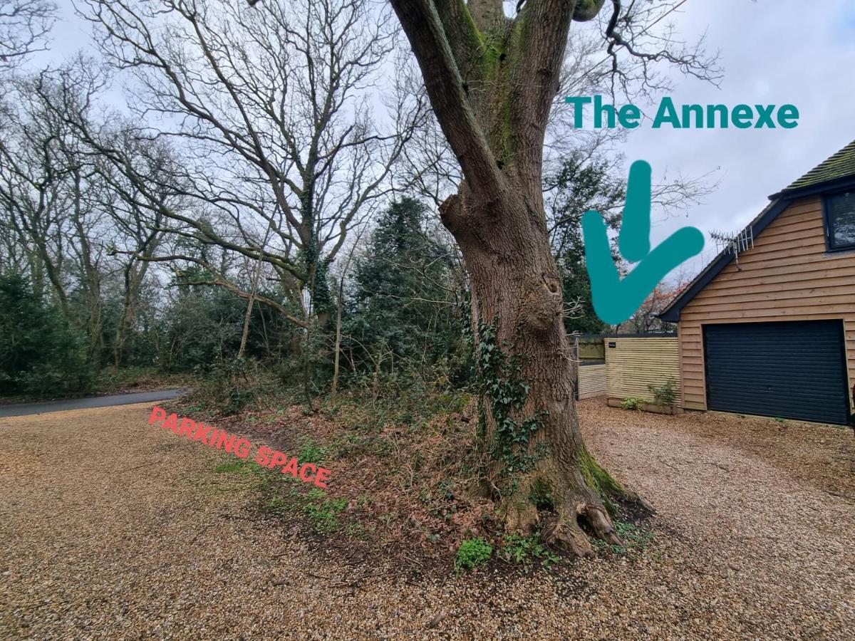 The Annexe - Woodland Views And Close To Beach! Apartment Barton on Sea Exterior photo